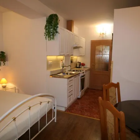 Apartment No.6 Zahradni 31