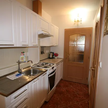 Apartment No.6 Zahradni 31