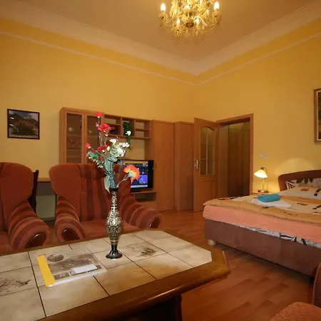 Apartment No.6 Zahradni 31